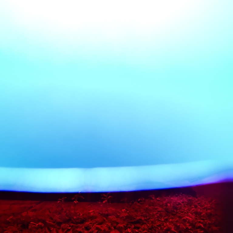 SOLD ---
9513 (2023). Fine art inkjet prints on Hahnemühle paper 60 x 60 cm. Limited edition of 1. © Roberto Davolio